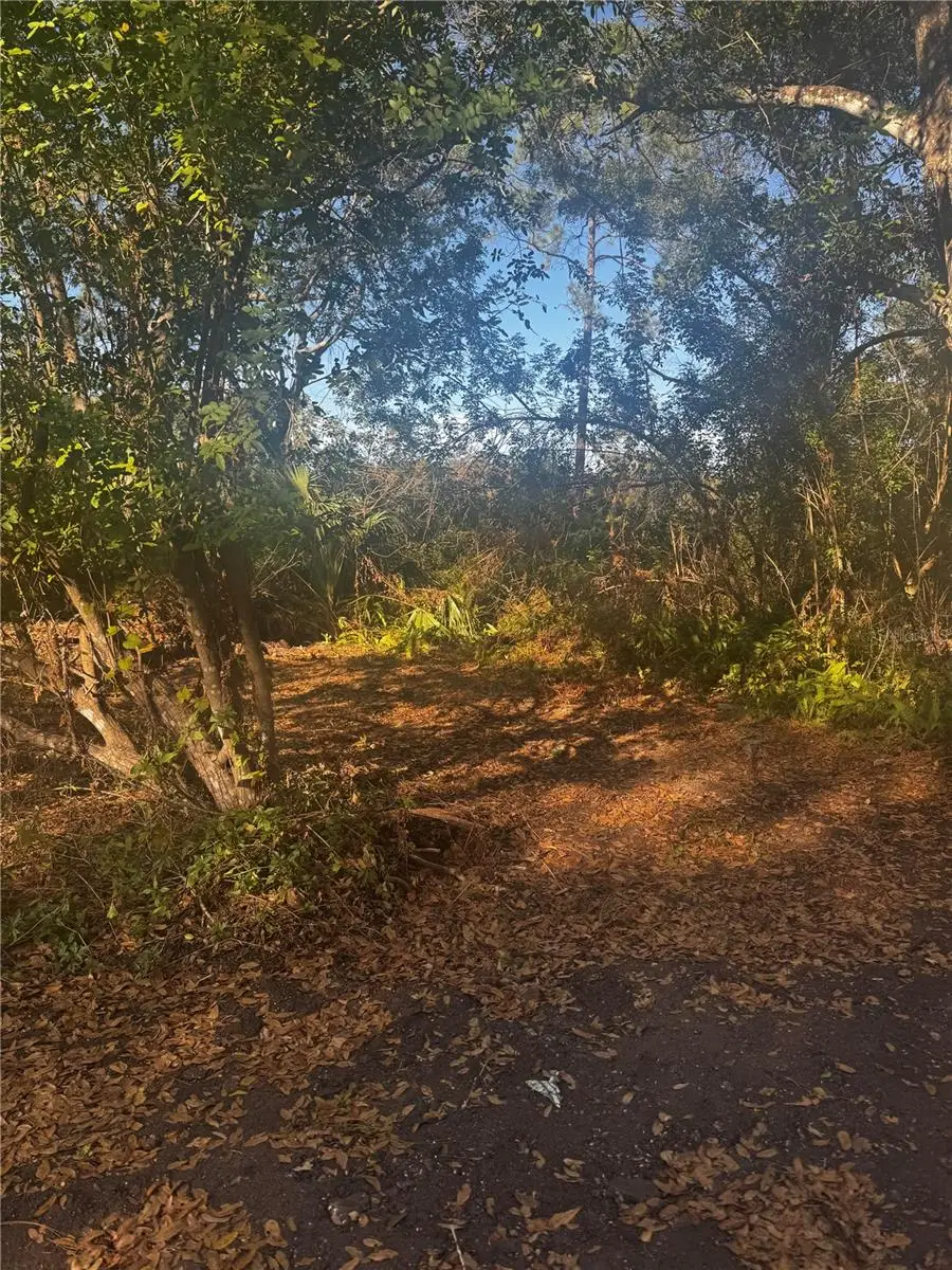 11-20 Anno, Tampa, FL 33625 - Image #3