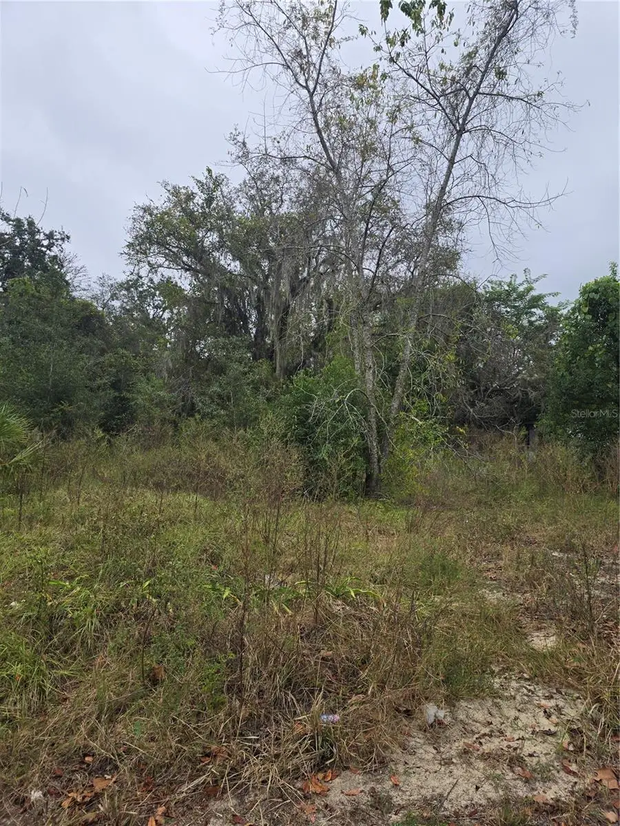 10142 Markham Street, New Port Richey, FL 34654 - Image #2