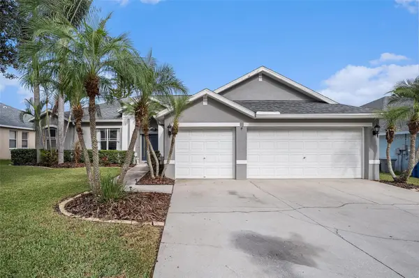 2846 Duncan Tree Circle, VALRICO, FL 33594