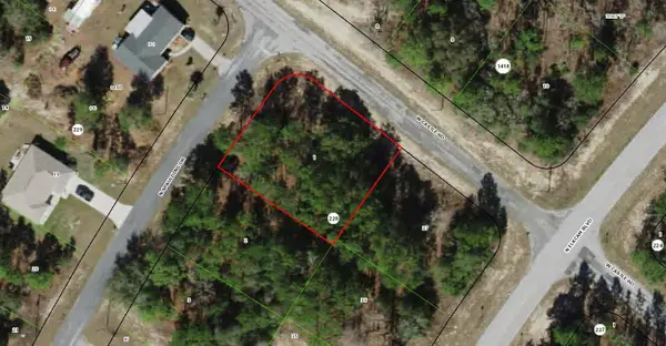 10200 N Spaulding Drive, CITRUS SPRINGS, FL 34433