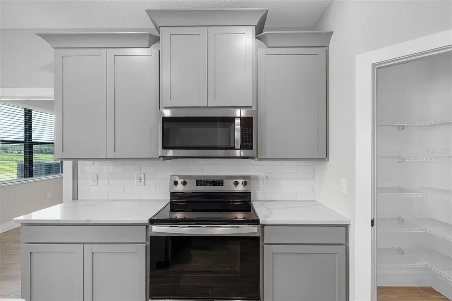 13501 Walden Sheffield Road, Dover, FL 33527 - Image #2