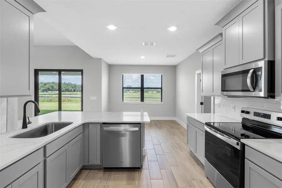 13494 Lake Gallagher Drive, Dover, FL 33527 - Image #2