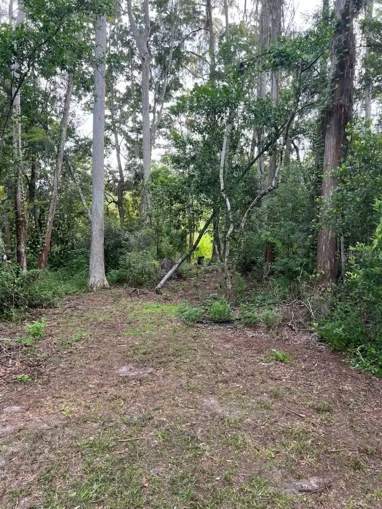 0 Moon Lake Circle, New Port Richey, FL 34654 - Image #2