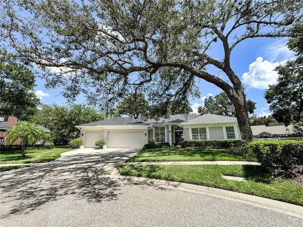 11501 Norval Place, TEMPLE TERRACE, FL 33617