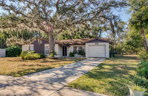 6521 Secrest Court, TAMPA, FL 33625