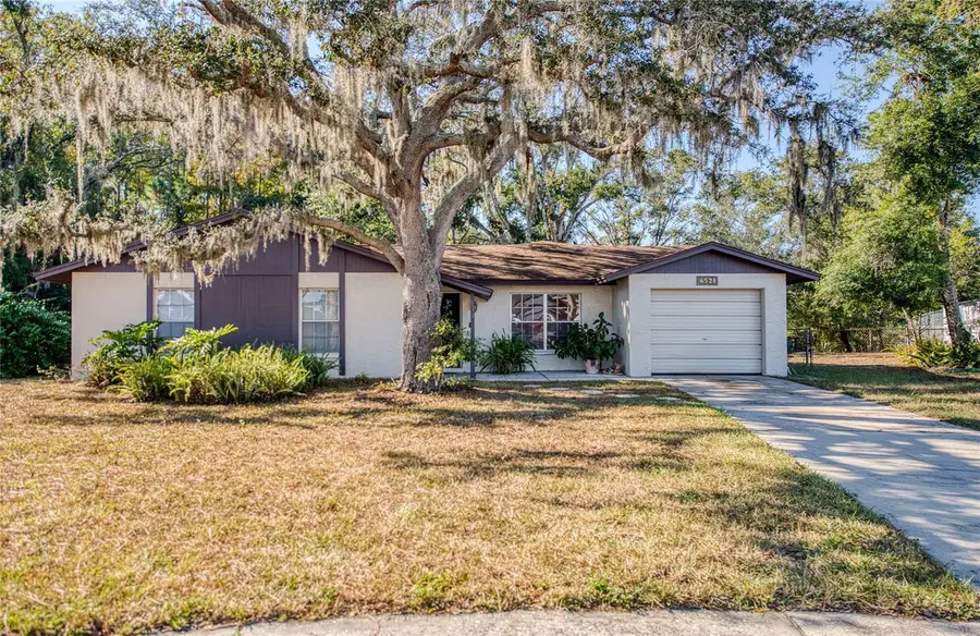 6521 Secrest Court, Tampa, FL 33625 - Image #2