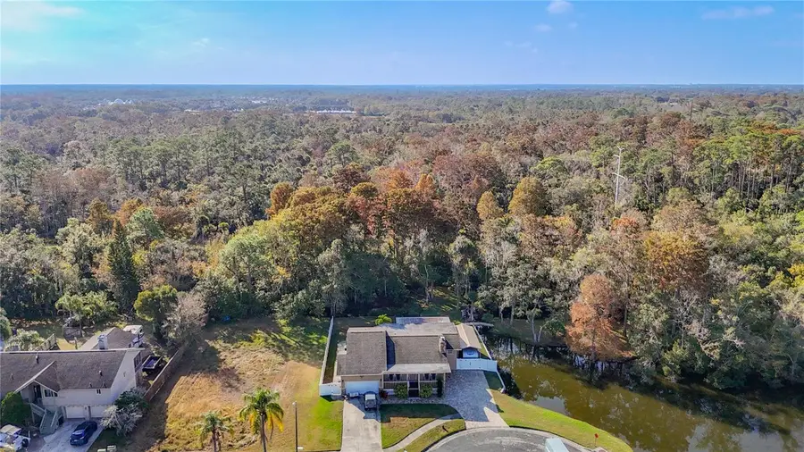 5904 Springrun Court, Holiday, FL 34690 - Image #3