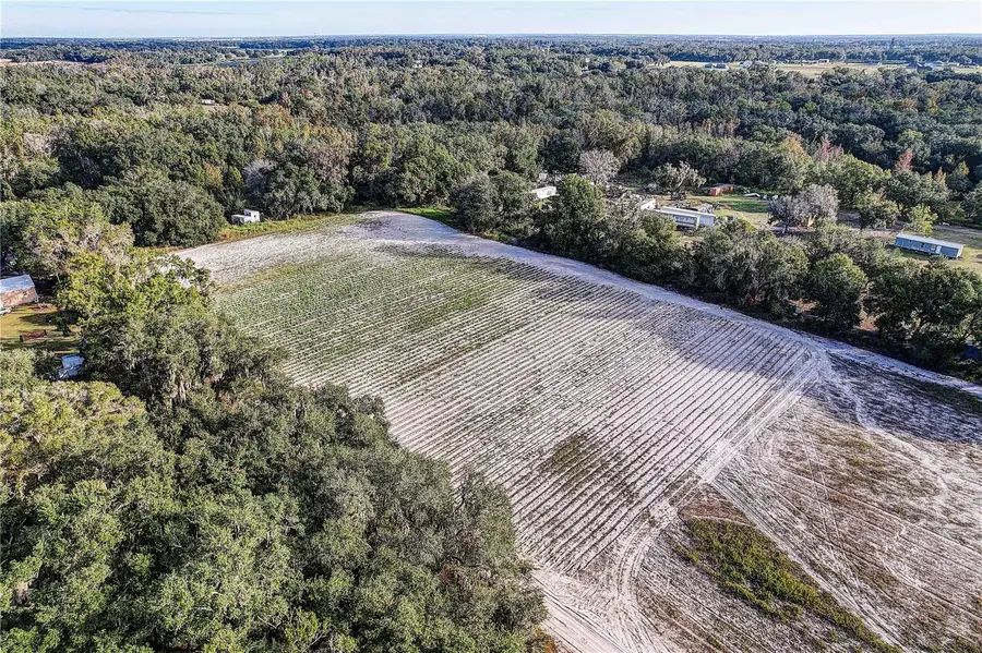 4822 Nesmith Road, Plant City, FL 33567 - Image #3