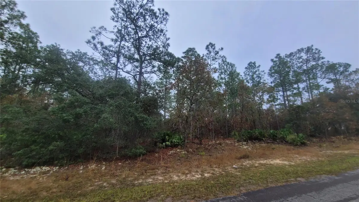 4621 N Pink Poppy, Beverly Hills, FL 34465 - Image #1