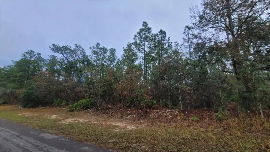 4621 N Pink Poppy, Beverly Hills, FL 34465 - Image #2