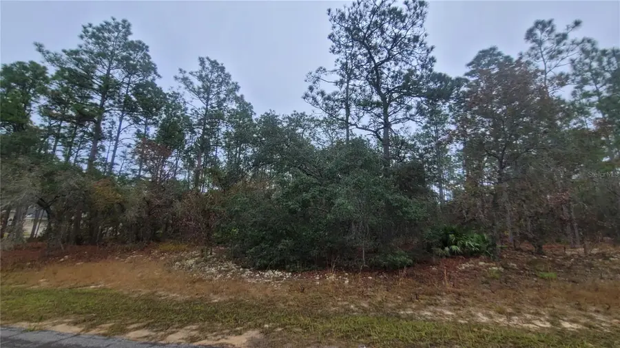 4621 N Pink Poppy, Beverly Hills, FL 34465 - Image #3