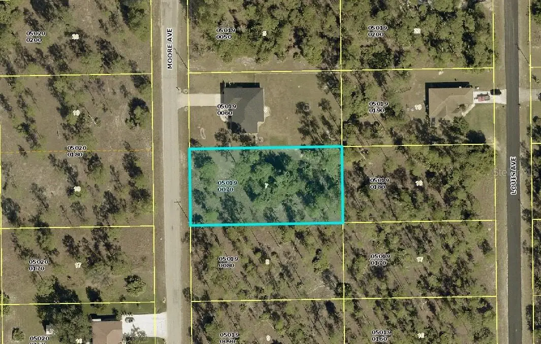 110 Moore Avenue, Lehigh Acres, FL 33936 - Image #1