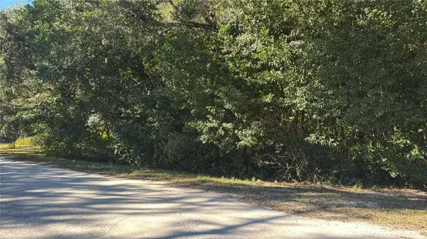 Monroe Avenue, BROOKSVILLE, FL 34604