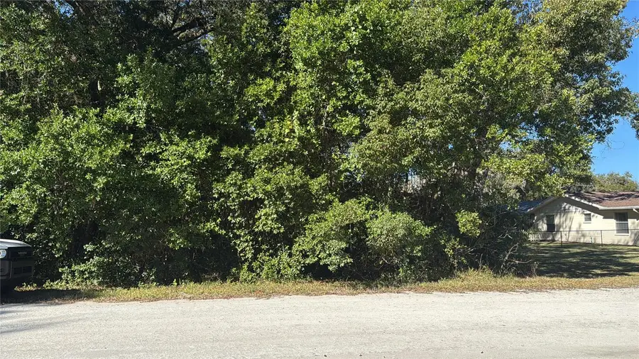 Monroe Avenue, Brooksville, FL 34604 - Image #2