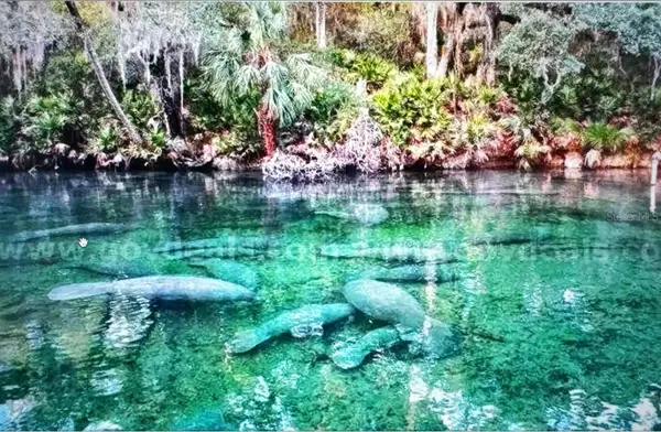 1 Werley Trail, DELAND, FL 32720