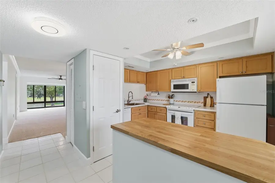 219 Caryl Way #219, Oldsmar, FL 34677 - Image #2