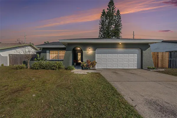 11707 Cypress Park Street, TAMPA, FL 33624