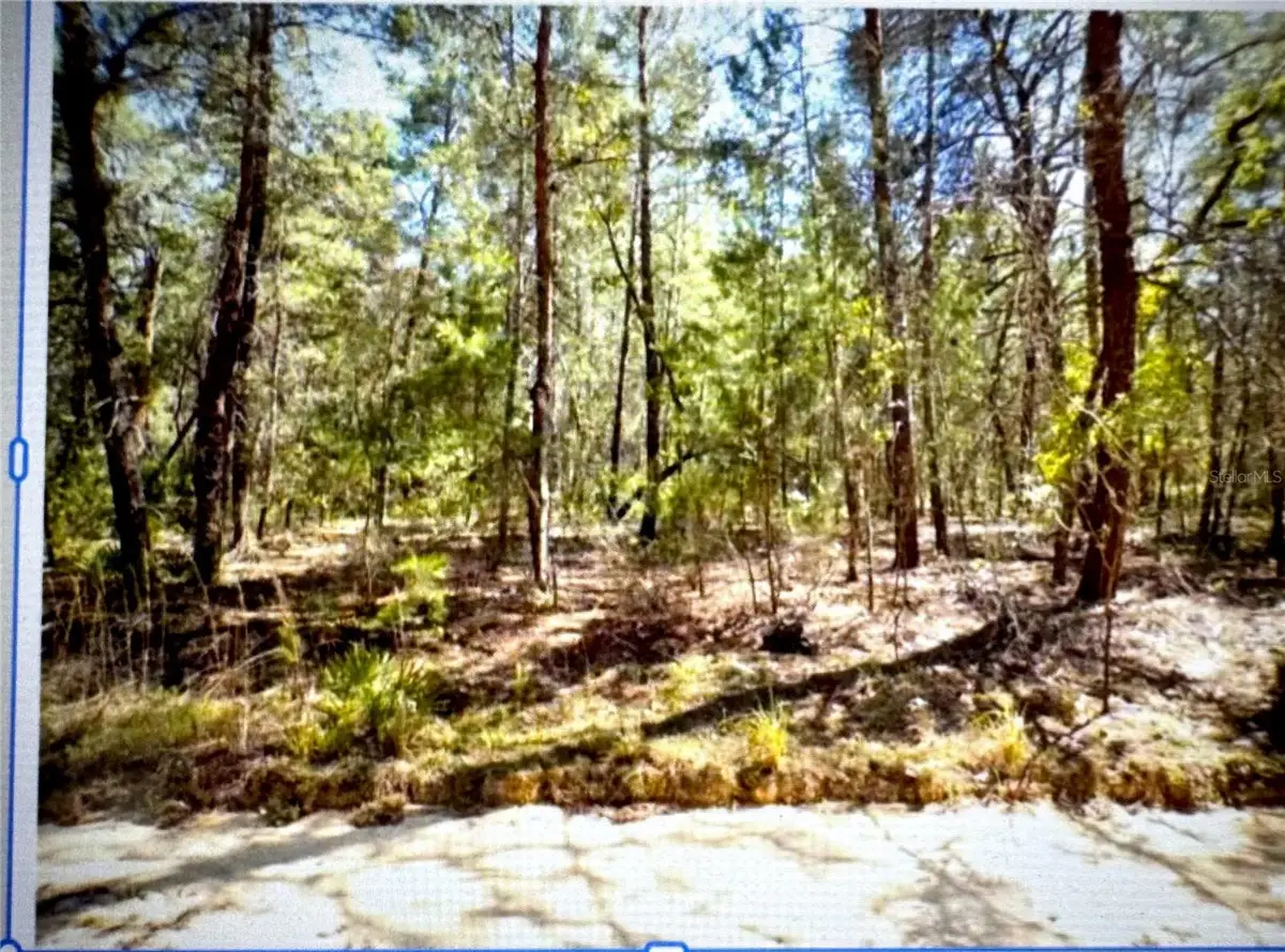 Old Bellamy Trail, Melrose, FL 32666 - Image #1