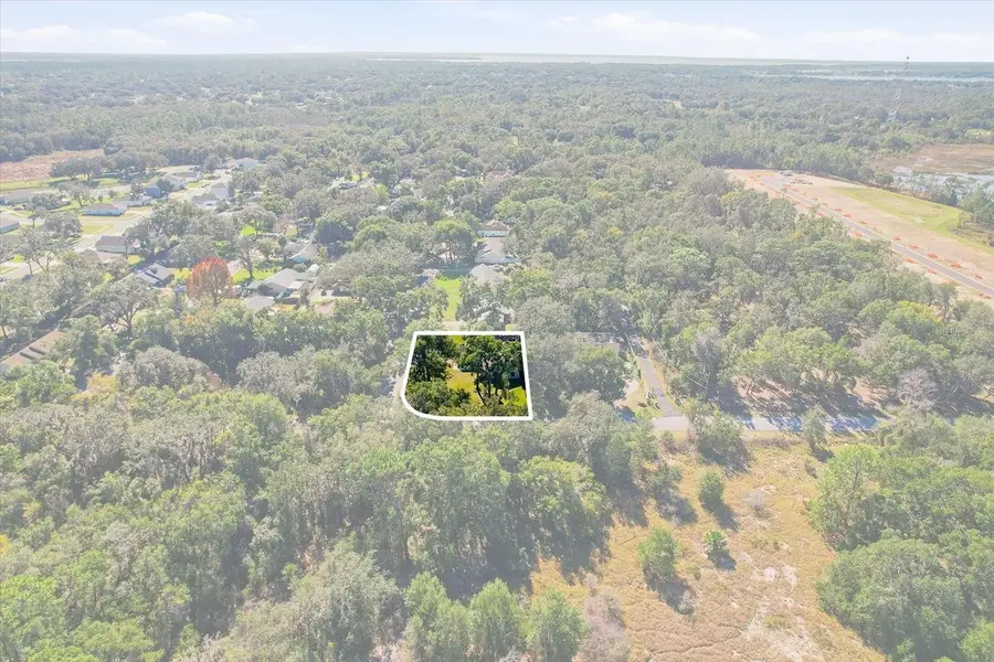 35003 Silver Oak Drive, Leesburg, FL 34788 - Image #2