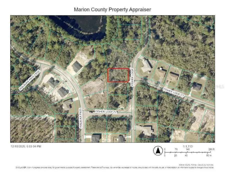 TBD Fisher Loop, Ocklawaha, FL 32179 - Image #2