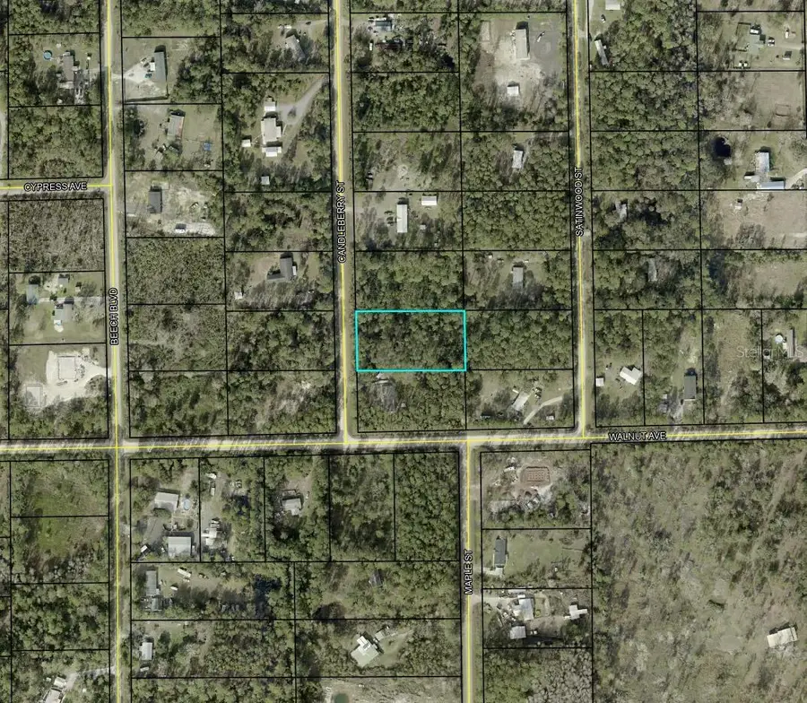 1935 Candleberry Street, Bunnell, FL 32110 - Image #2