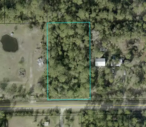6044 Nutwood Avenue, BUNNELL, FL 32110