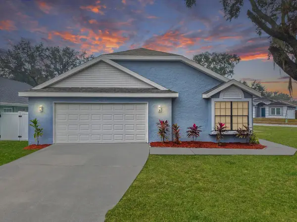 10114 Allenwood Drive, RIVERVIEW, FL 33569