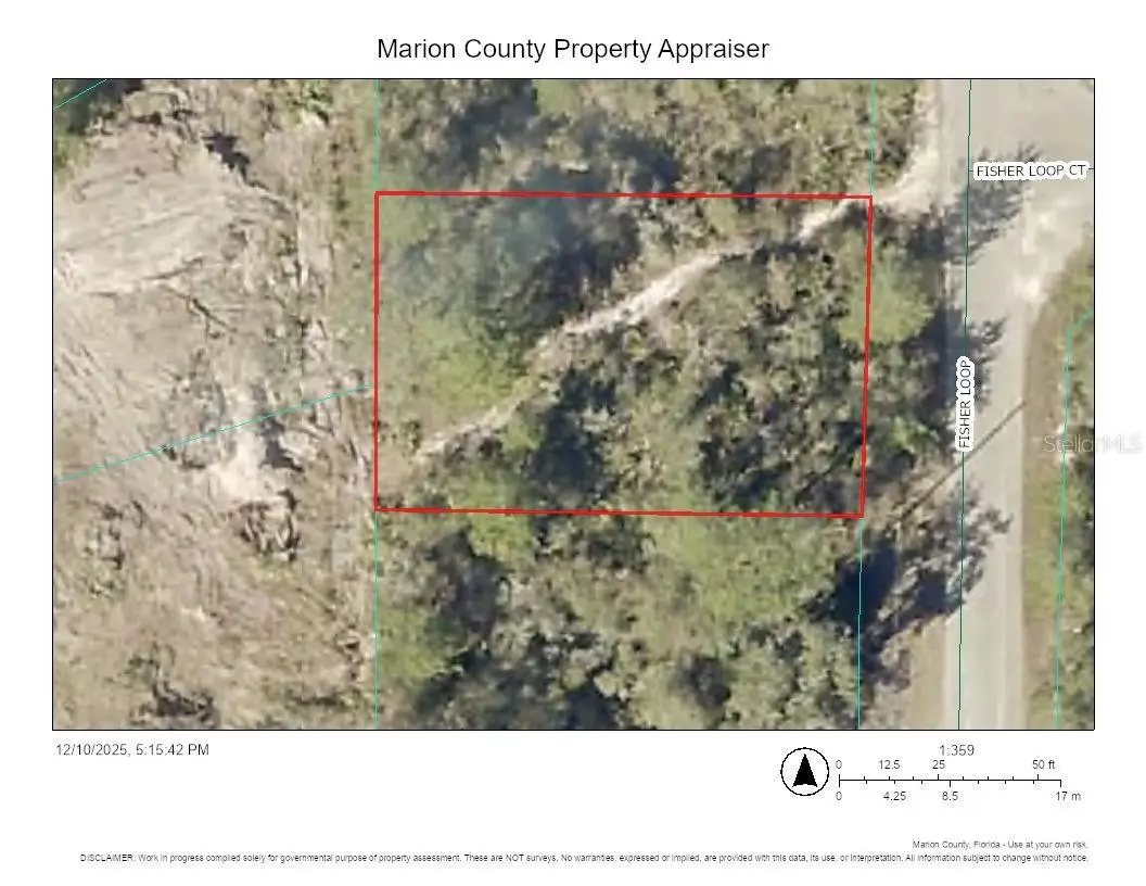 TBD Fisher Loop, Ocklawaha, FL 32179 - Image #1