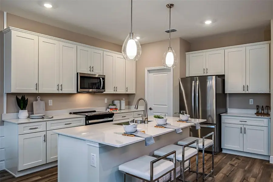 33489 Hammock Beach Way, Wesley Chapel, FL 33545 - Image #2