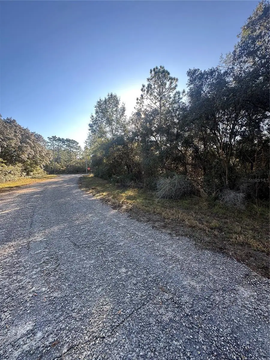 3908 W Tropic Lane, Dunnellon, FL 34433 - Image #3