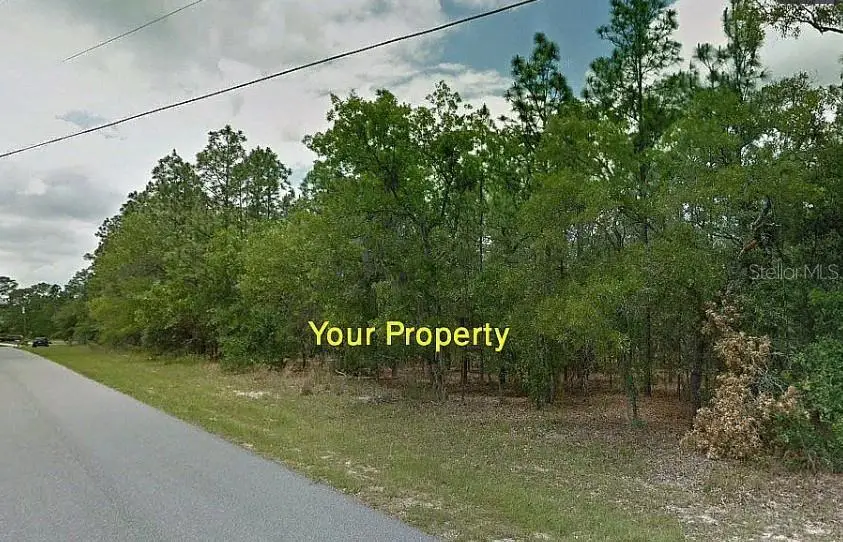 1431 W Omaha Place, Citrus Springs, FL 34434 - Image #1