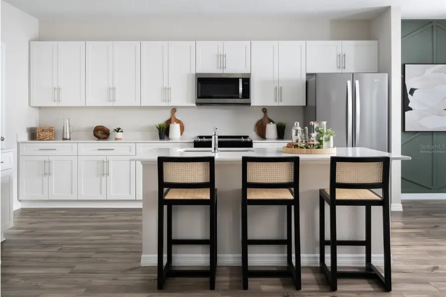 34775 Blossom Fall Path, Zephyrhills, FL 33541 - Image #2