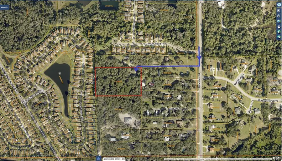 11117 Mcmullen Road, Riverview, FL 33569 - Image #2