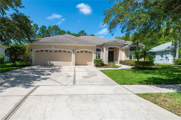 6120 Cezanne Avenue, LUTZ, FL 33558