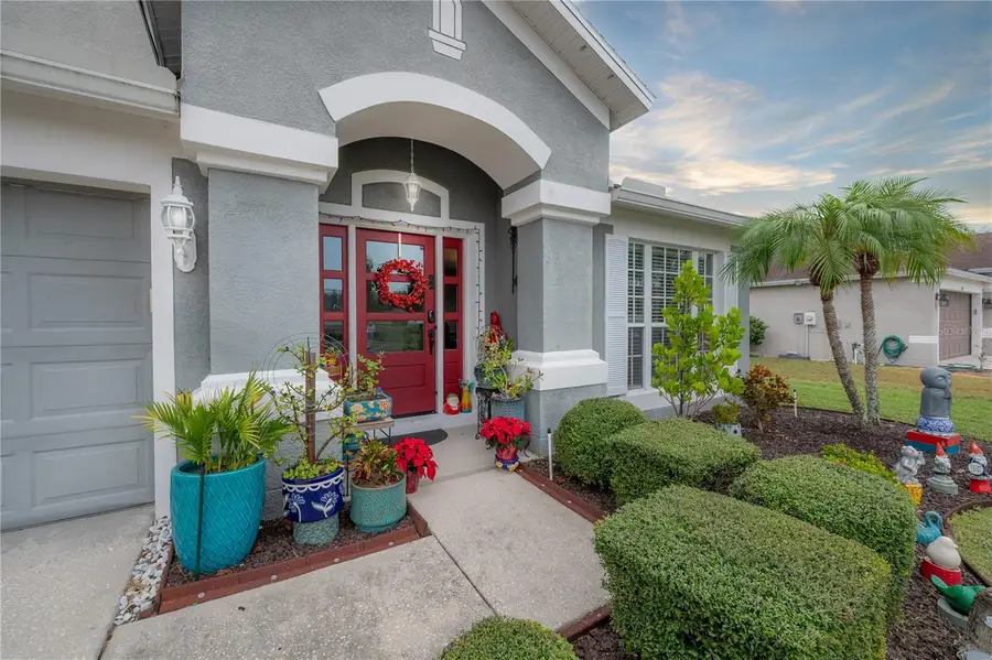 31203 Hannigan Place, Wesley Chapel, FL 33543 - Image #3