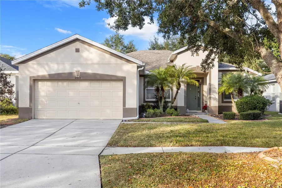 10903 Holly Cone Drive, Riverview, FL 33569 - Image #2