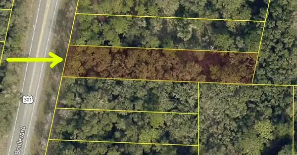 7302 Treiman Boulevard, WEBSTER, FL 33597