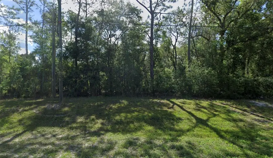 7302 Treiman Boulevard, Webster, FL 33597 - Image #2
