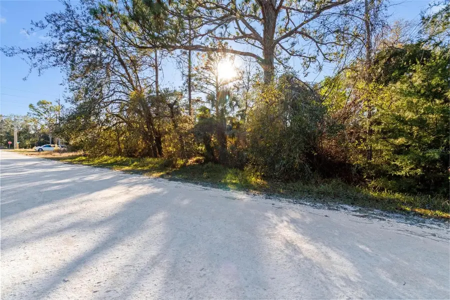 11079 Hemlock Warbler Road, Weeki Wachee, FL 34614 - Image #2