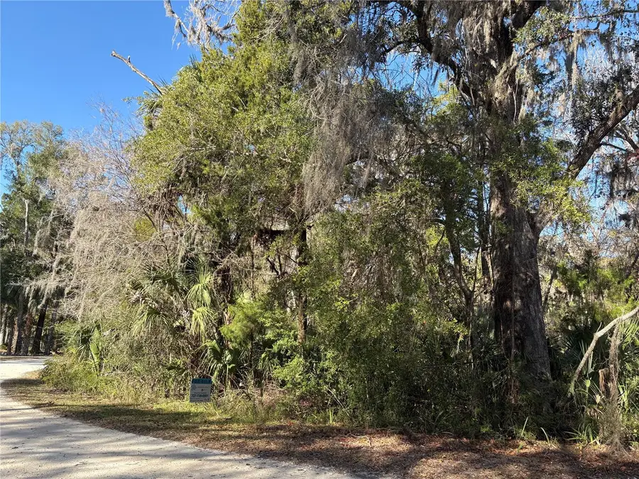 399 S Dew Plant Point, Crystal River, FL 34429 - Image #3