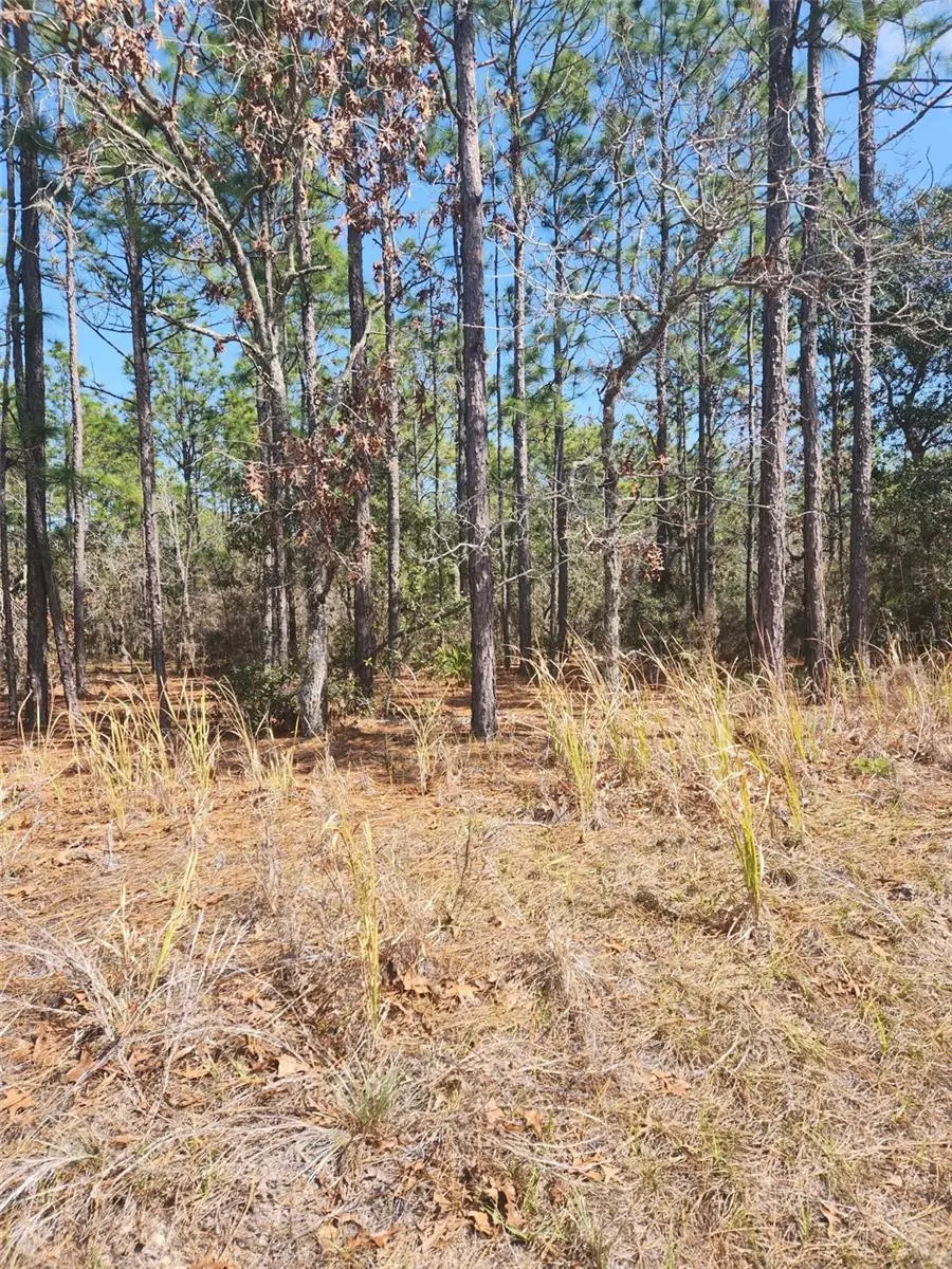 4379 N Baywood Drive, Beverly Hills, FL 34465 - Image #2