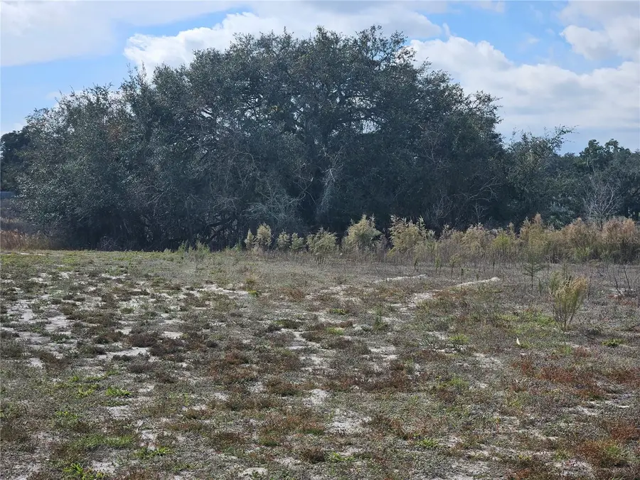 34794 Orchid Parkway, Dade City, FL 33523 - Image #3