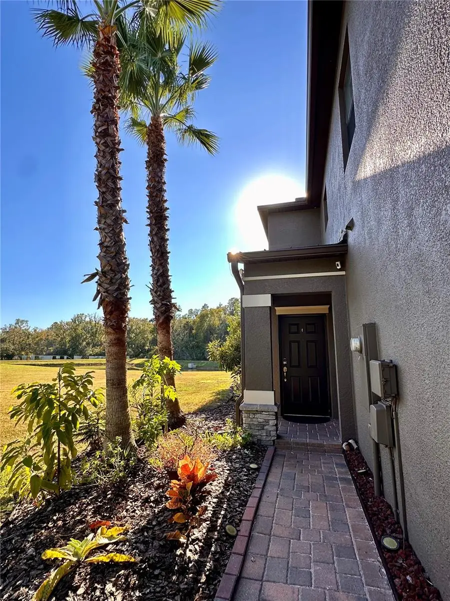 28450 Tranquil Lake Circle, Wesley Chapel, FL 33543 - Image #2