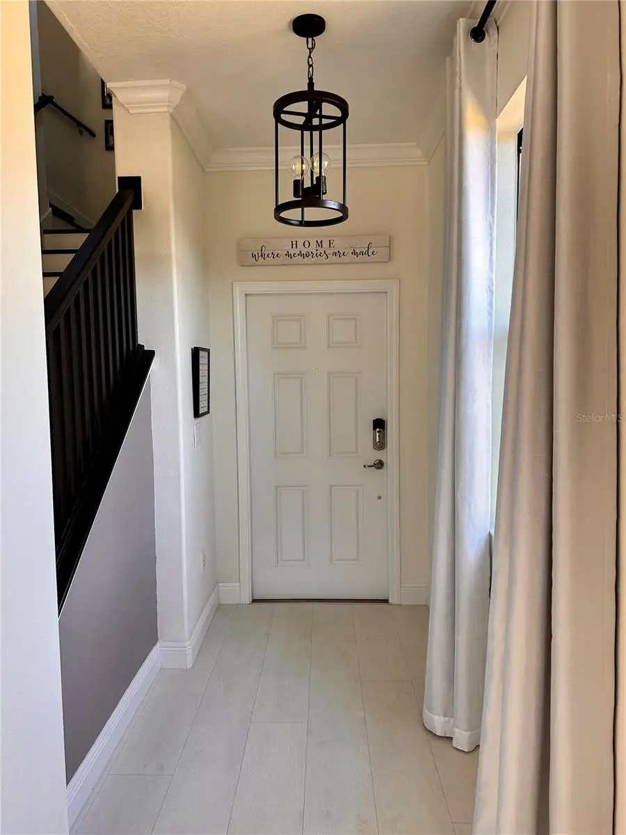 28450 Tranquil Lake Circle, Wesley Chapel, FL 33543 - Image #3