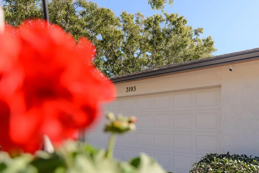 3193 Sandy Ridge Drive, Clearwater, FL 33761 - Image #2