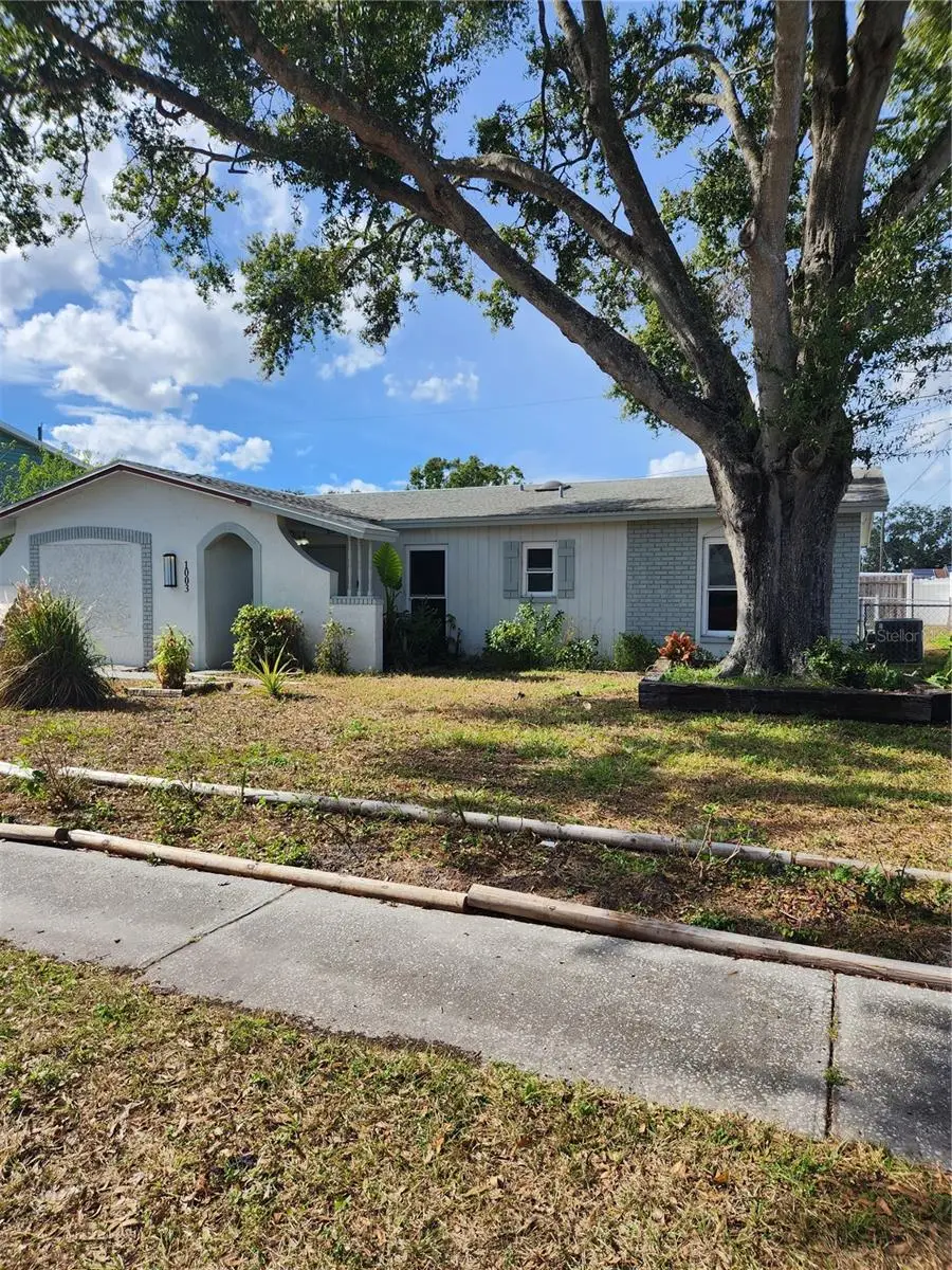 1003 Papaya Drive, Tampa, FL 33619 - Image #2