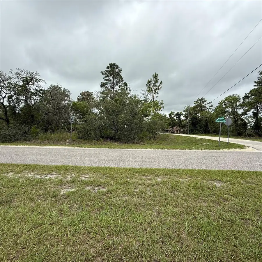 11205 Mountain Mockingbird Road, Weeki Wachee, FL 34614 - Image #2