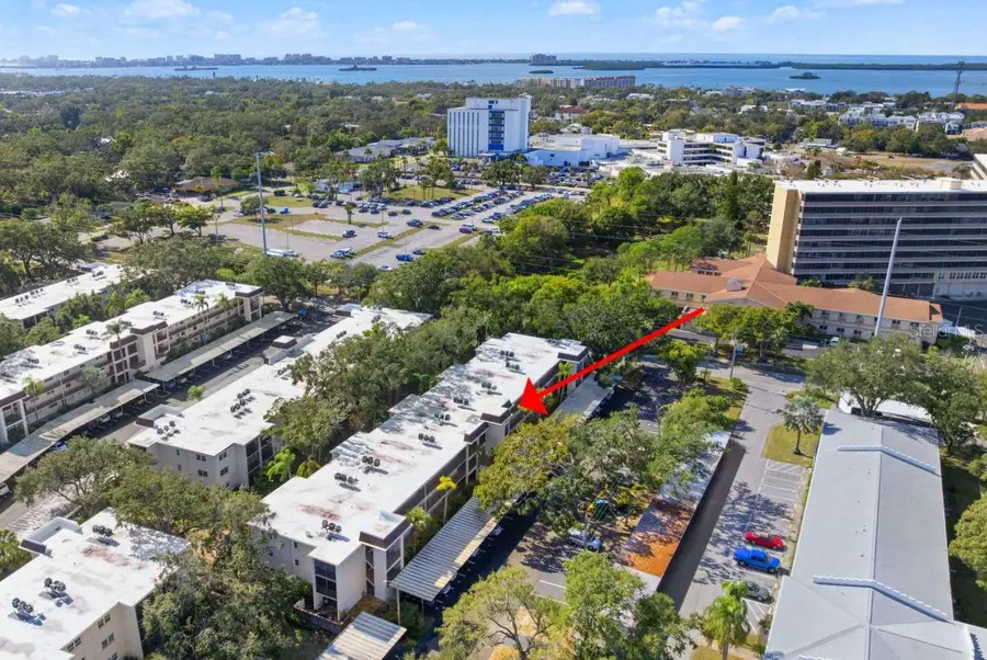 871 New York Avenue #307, Dunedin, FL 34698 - Image #3