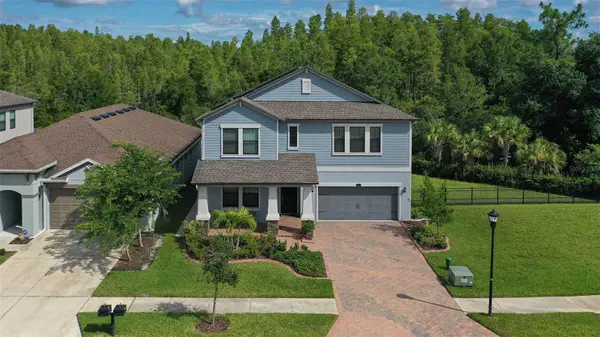 16312 Hyde Manor Drive, TAMPA, FL 33647