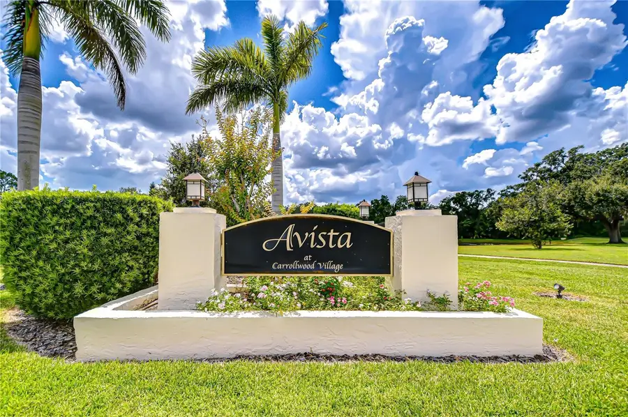 13522 Avista Drive, Tampa, FL 33624 - Image #3